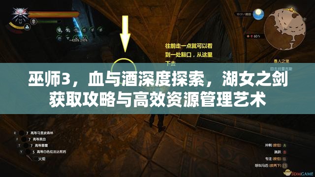 巫师3，血与酒深度探索，湖女之剑获取攻略与高效资源管理艺术
