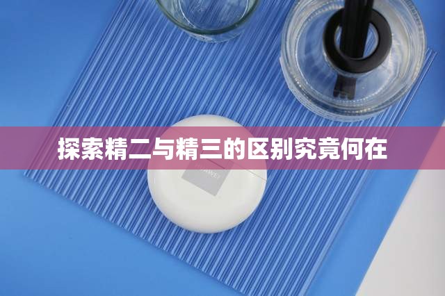 探索精二与精三的区别究竟何在