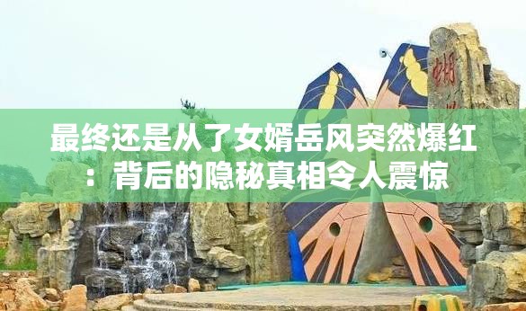 最终还是从了女婿岳风突然爆红：背后的隐秘真相令人震惊