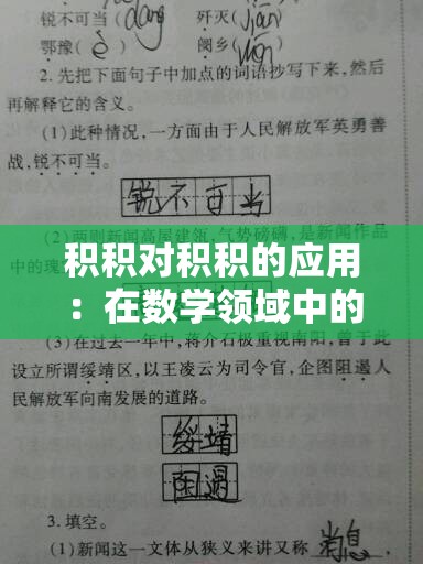 积积对积积的应用：在数学领域中的重要意义与具体实践分析