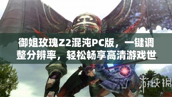 御姐玫瑰Z2混沌PC版，一键调整分辨率，轻松畅享高清游戏世界体验