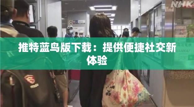 推特蓝鸟版下载：提供便捷社交新体验