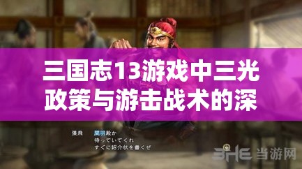 三国志13游戏中三光政策与游击战术的深度策略玩法探索解析