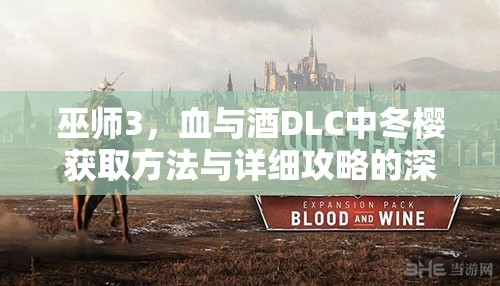 巫师3，血与酒DLC中冬樱获取方法与详细攻略的深度探讨