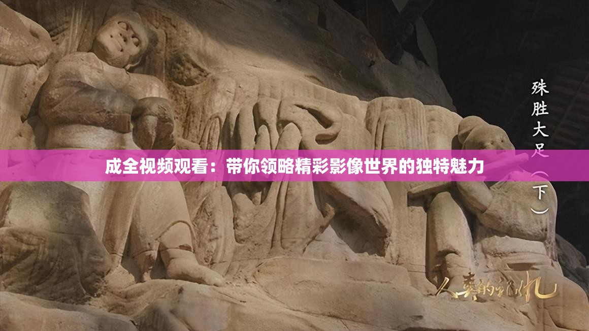 成全视频观看：带你领略精彩影像世界的独特魅力