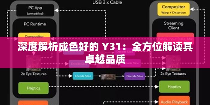 深度解析成色好的 Y31：全方位解读其卓越品质