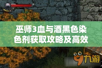 巫师3血与酒黑色染色剂获取攻略及高效资源管理技巧解析