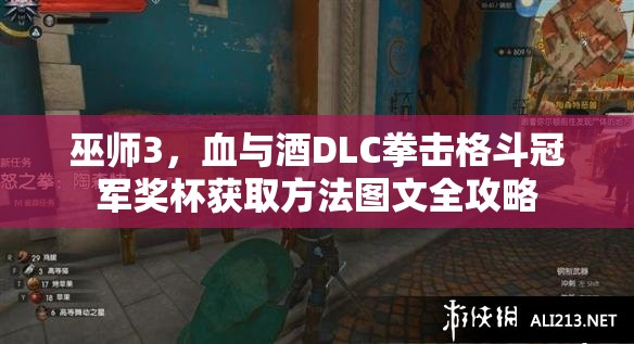 巫师3，血与酒DLC拳击格斗冠军奖杯获取方法图文全攻略