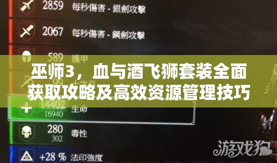 巫师3，血与酒飞狮套装全面获取攻略及高效资源管理技巧