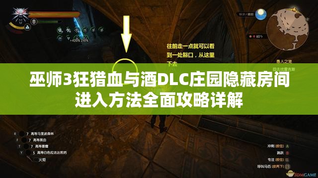 巫师3狂猎血与酒DLC庄园隐藏房间进入方法全面攻略详解