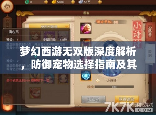梦幻西游无双版深度解析，防御宠物选择指南及其资源管理重要性与实战策略
