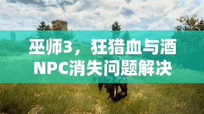 巫师3，狂猎血与酒NPC消失问题解决方案，快速找回消失角色的妙招！