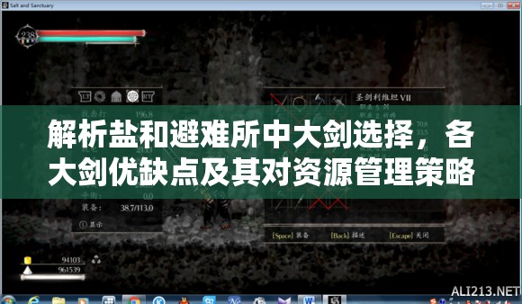 解析盐和避难所中大剑选择，各大剑优缺点及其对资源管理策略的重要性