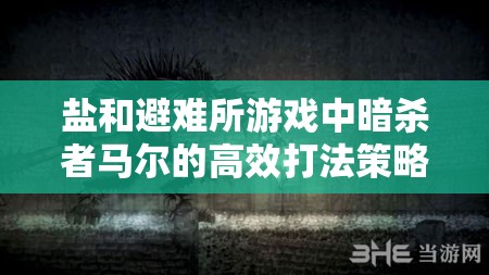 盐和避难所游戏中暗杀者马尔的高效打法策略与详细攻略解析