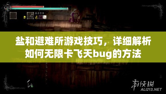 盐和避难所游戏技巧，详细解析如何无限卡飞天bug的方法