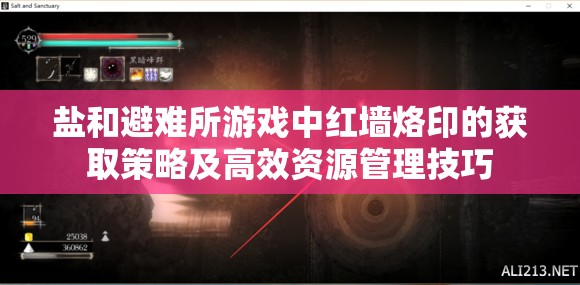 盐和避难所游戏中红墙烙印的获取策略及高效资源管理技巧