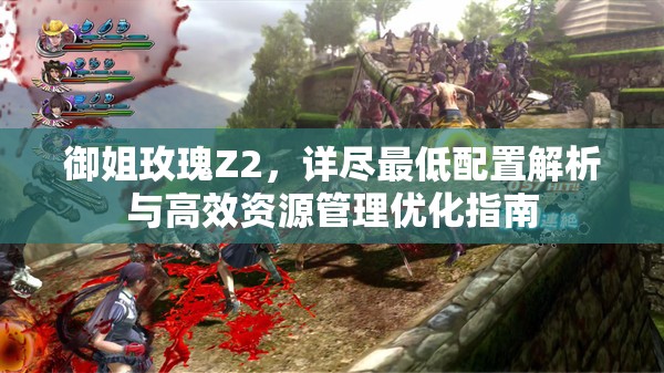 御姐玫瑰Z2，详尽最低配置解析与高效资源管理优化指南