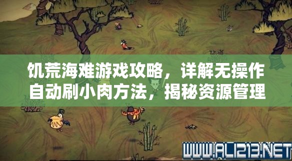 饥荒海难游戏攻略，详解无操作自动刷小肉方法，揭秘资源管理高效技巧与重要性