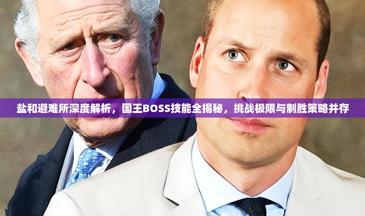 盐和避难所深度解析，国王BOSS技能全揭秘，挑战极限与制胜策略并存