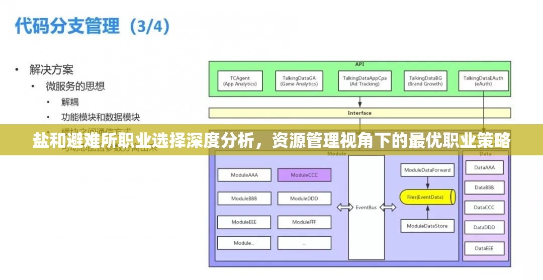 盐和避难所职业选择深度分析，资源管理视角下的最优职业策略