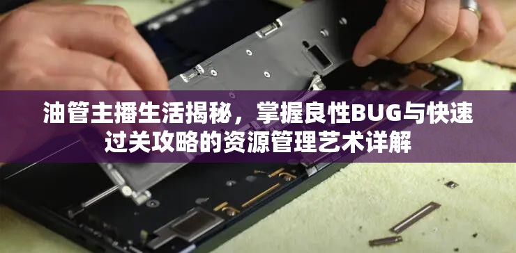 油管主播生活揭秘，掌握良性BUG与快速过关攻略的资源管理艺术详解