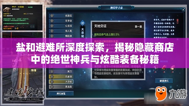 盐和避难所深度探索，揭秘隐藏商店中的绝世神兵与炫酷装备秘籍