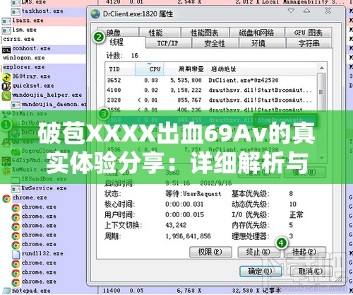 破苞XXXX出血69Av的真实体验分享：详细解析与用户反馈