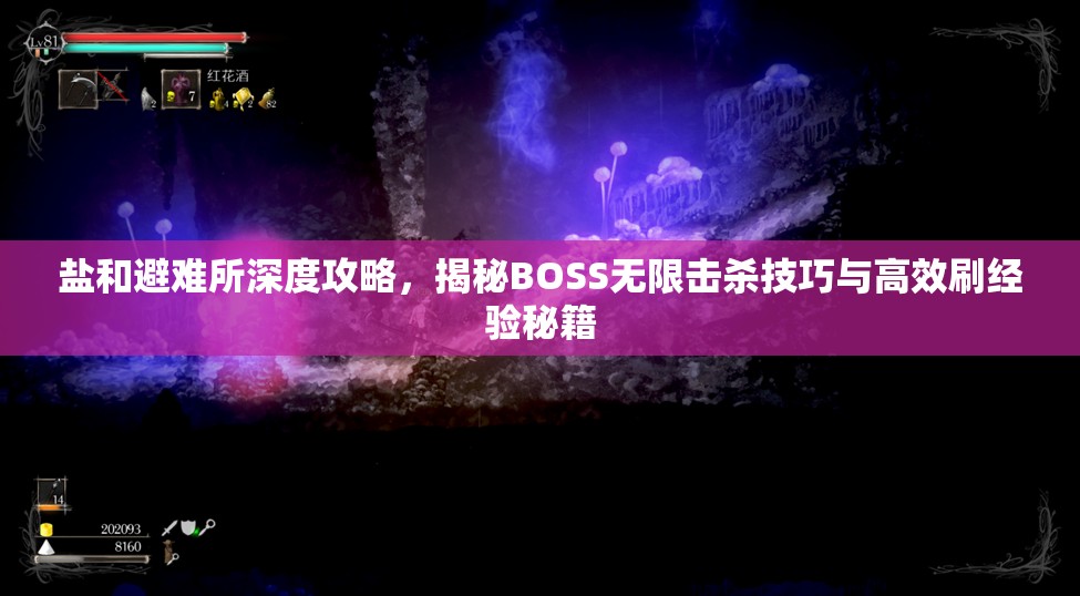 盐和避难所深度攻略，揭秘BOSS无限击杀技巧与高效刷经验秘籍