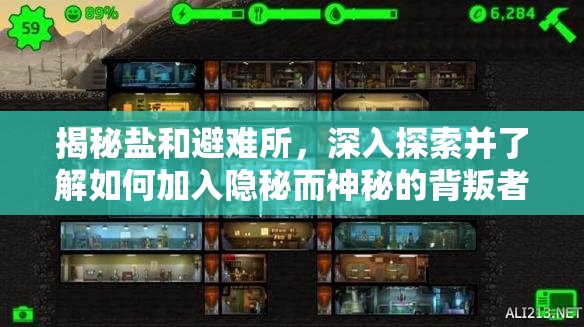 揭秘盐和避难所，深入探索并了解如何加入隐秘而神秘的背叛者教派