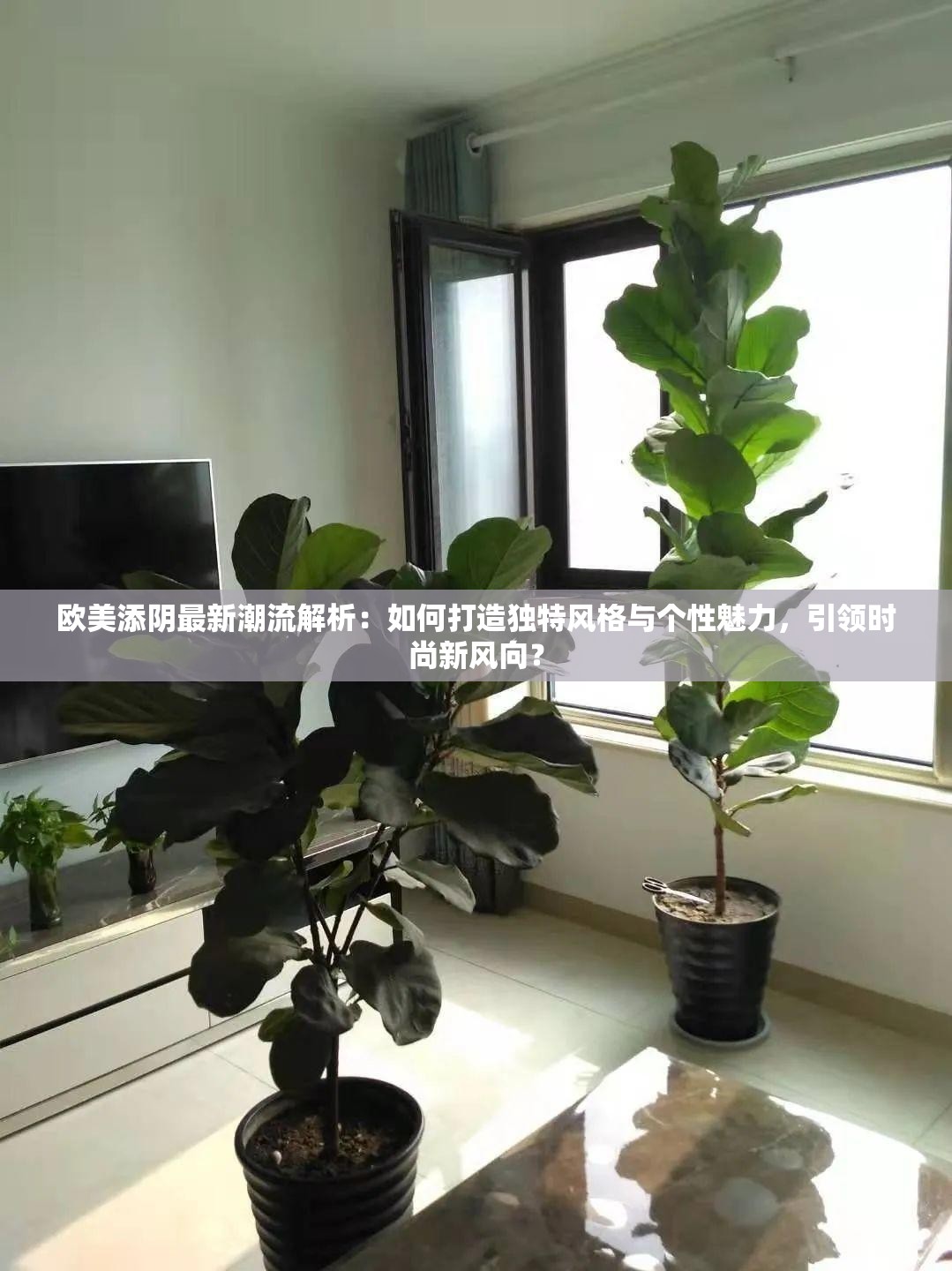 欧美添阴最新潮流解析：如何打造独特风格与个性魅力，引领时尚新风向？