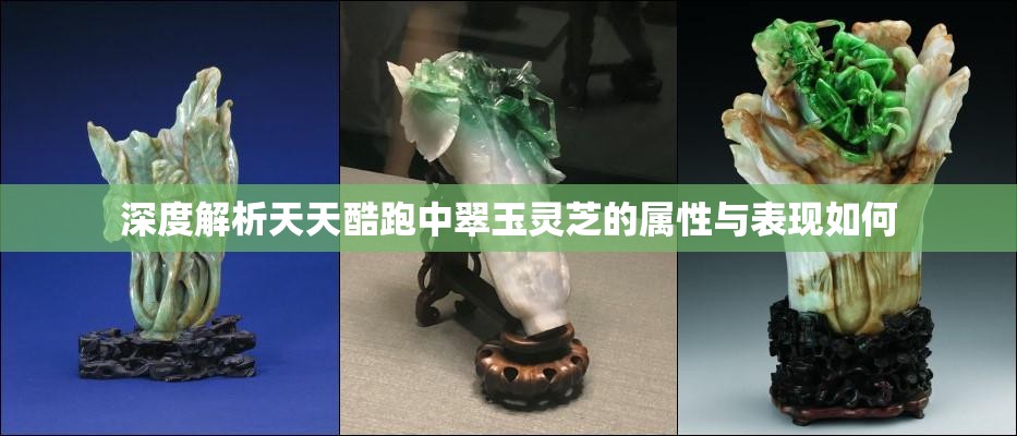 深度解析天天酷跑中翠玉灵芝的属性与表现如何