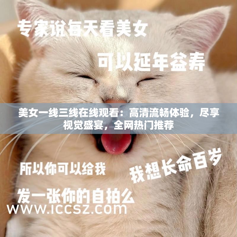 美女一线三线在线观看：高清流畅体验，尽享视觉盛宴，全网热门推荐