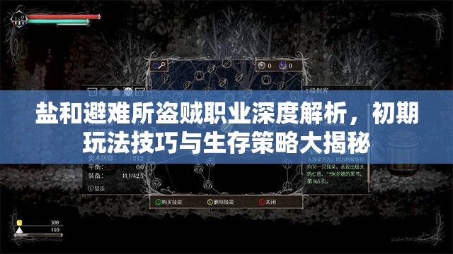 盐和避难所盗贼职业深度解析，初期玩法技巧与生存策略大揭秘