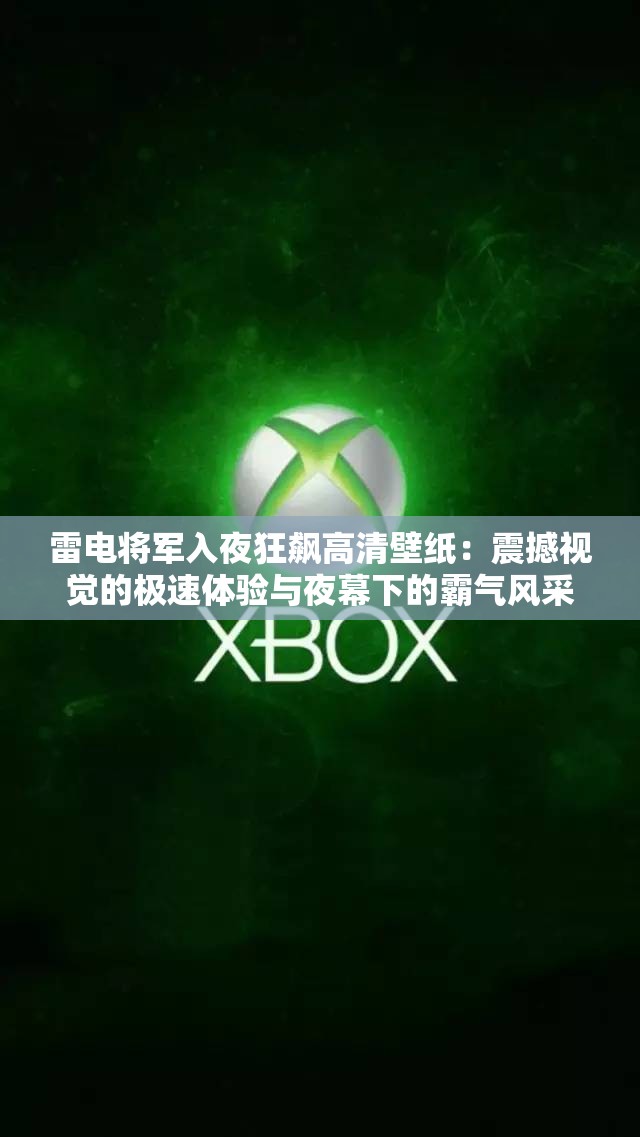 雷电将军入夜狂飙高清壁纸：震撼视觉的极速体验与夜幕下的霸气风采