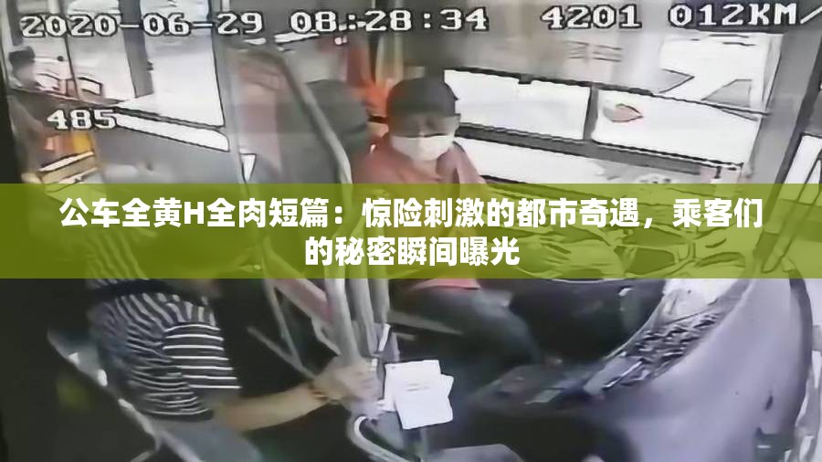 公车全黄H全肉短篇：惊险刺激的都市奇遇，乘客们的秘密瞬间曝光