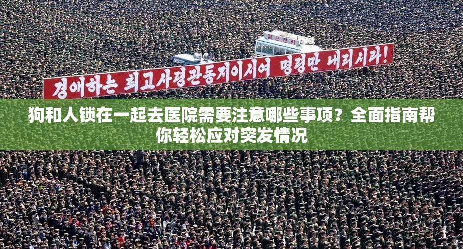 狗和人锁在一起去医院需要注意哪些事项？全面指南帮你轻松应对突发情况