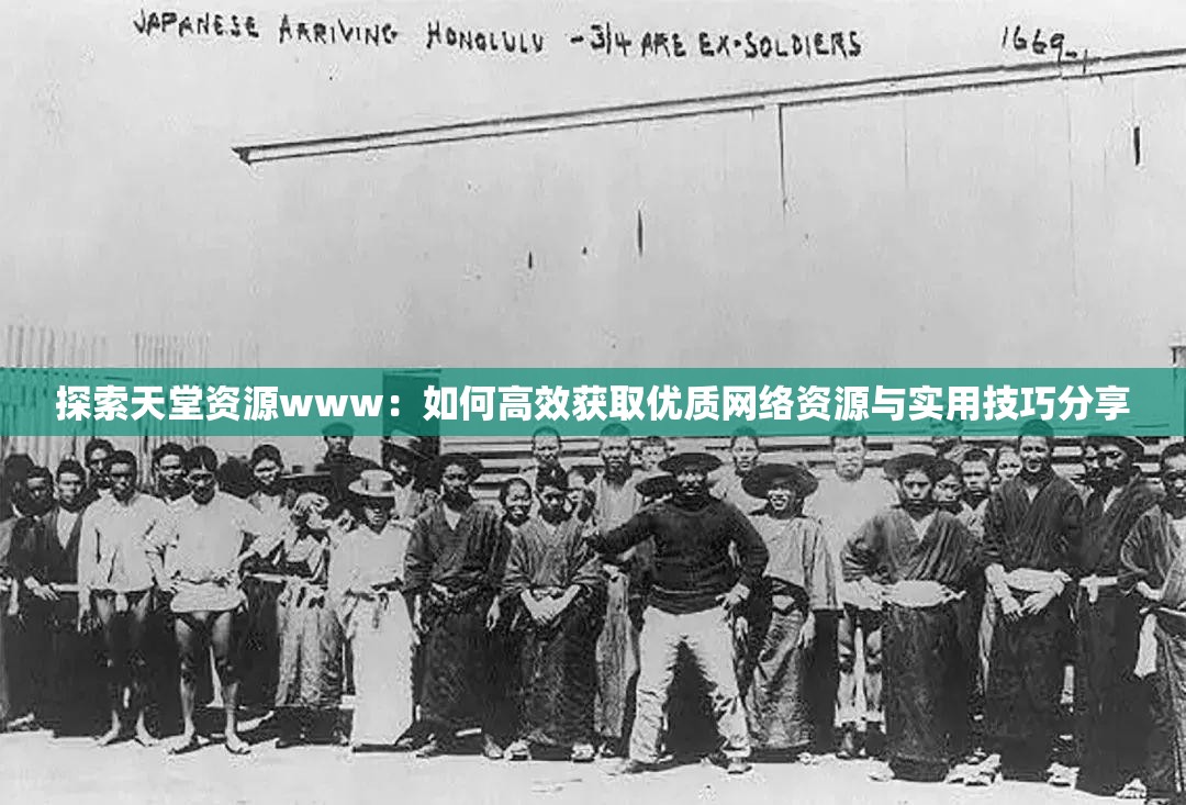 探索天堂资源www：如何高效获取优质网络资源与实用技巧分享
