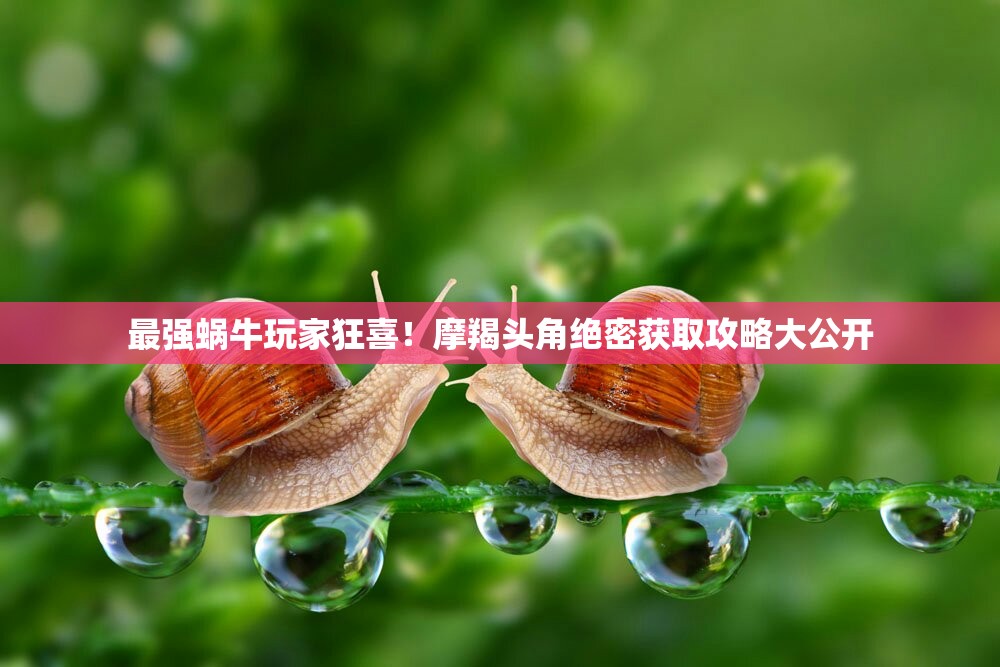 最强蜗牛玩家狂喜！摩羯头角绝密获取攻略大公开